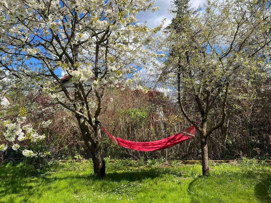 Apartament W ,Chlewiku” Gołdap 외부 사진